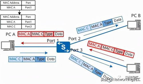 網(wǎng)絡(luò)工程師必懂得以太網(wǎng)基礎(chǔ)知識 構(gòu)建數(shù)字世界的基石